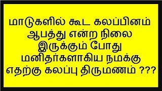 சாதி கலப்பு என்பது படுகேவளமானது,ஜாதி,Caste,Community,குலம்,மரபுக்குடி,கோத்திரம்,கிளை,கூட்டம்