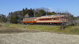 いすみ鉄道　急行2号　キハ28+キハ52　急行いよ　ヘッドマーク　城見ヶ丘～上総中川　2022年2月5日