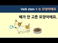 [Grammar]  ~는 모양이에요 (it seems like~)