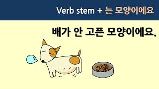 [Grammar]  ~는 모양이에요 (it seems like~)