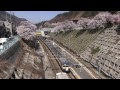 中央線　115系山スカ　桜満開　甲斐大和駅　20140412