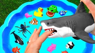 Wild Zoo Animals Toys - Baby and Mom Learn Animals Names - Educational Toys for Kids