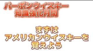 【今更聞けない😭アメリカンウイスキーって何？💦1月はバーボン知識強化月間😄】ウイスキー超特化バーテンダーがわかりやすく解説😄【2年でウイスキーの辞書を作ろう❗】【ウイスキー雑学】