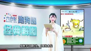 第118期 --【新澳门跑狗图】西施带你一一解图，紧跟西施的精准解码😎✨