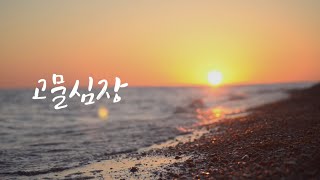 [샬롬 My Dear] 고물심장_김상훈과 나트륨 Ver.MR (가사포함)