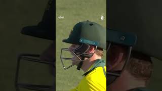 Steve Smith is a cricket genius 🤯 #AUSvNZ #PlayOfTheDay