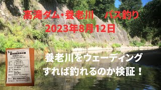 高滝ダム・養老川　バス釣り2023年8月12日　養老川をウェーディングすれば釣れるのか検証！