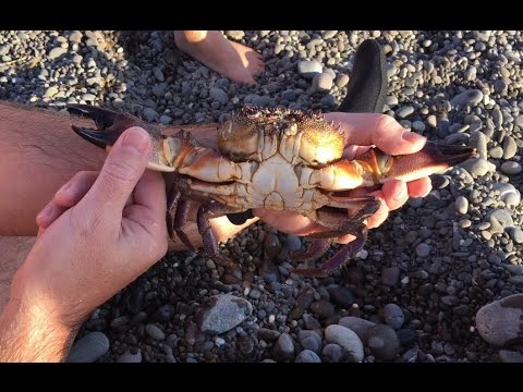 Когда как и на какие блесны ловится щука Когда как и на какие блесны ловится щука