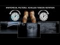 video 2 article commentary ultrasound and tendon pathology and achilles tendon rotation