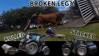 More bad luck!! Has the BULL broken his leg !? Rolled the ruts!!!