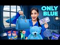 BLUE Color Challenge || Eating & Buying Everything in ONE COLOR CHALLENGE 💙🩵 | SAMREEN ALI