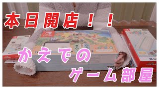 あつまれどうぶつの森セット　任天堂Switch　ポーチなど紹介！【かえでのゲーム部屋　本日開店♪】