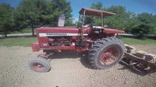 Farmall 826 Planting Soybeans