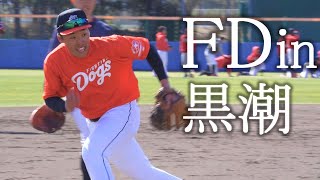 総合優勝へ！高知ファイティングドッグス、黒潮町大方でキャンプ始動