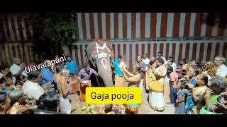 Gaja pooja. elephant - pooja. October 2022.