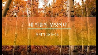 [송파선한목자교회] 주일예배 설교말씀 \