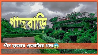 ঝিনাইদহ গাছবাড়ি | Jhenaidah tree house | শৈলকূপা গাছবাড়ি | gas bari | গাছবাড়ি | শৈলকূপা | লক্ষণদিয়া