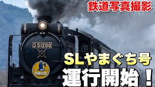 【鉄道写真】SLやまぐち2022年始動！