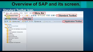 01 Sap Screen Navigation