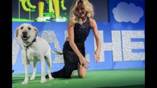 Amanda Holden falls to the floor as large playful dog jumps on her at Animal Hero Awards