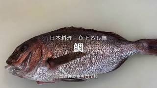 日本料理基本　#2  魚のおろし 鯛編