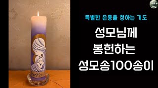 [Ora Pro Nobis!] l함께 기도해요! 10일ㅣ성모송100송이ㅣ특별한 은총을 청하는 기도ㅣ침묵ㅣ마음의 평화 #성모송100번 #품격있는삶 #기도 #세레나의치유의숲