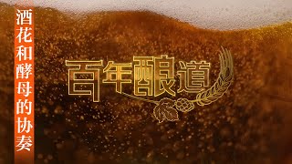 中国第一个啤酒花品种是什么？揭秘啤酒的“中国味道”！看一朵啤酒花引发的传奇故事 「百年酿道」第一集 | 财经风云