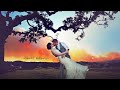WILDFIRE WEDDING: There can be a moment of beauty even during a destructive wildlife.