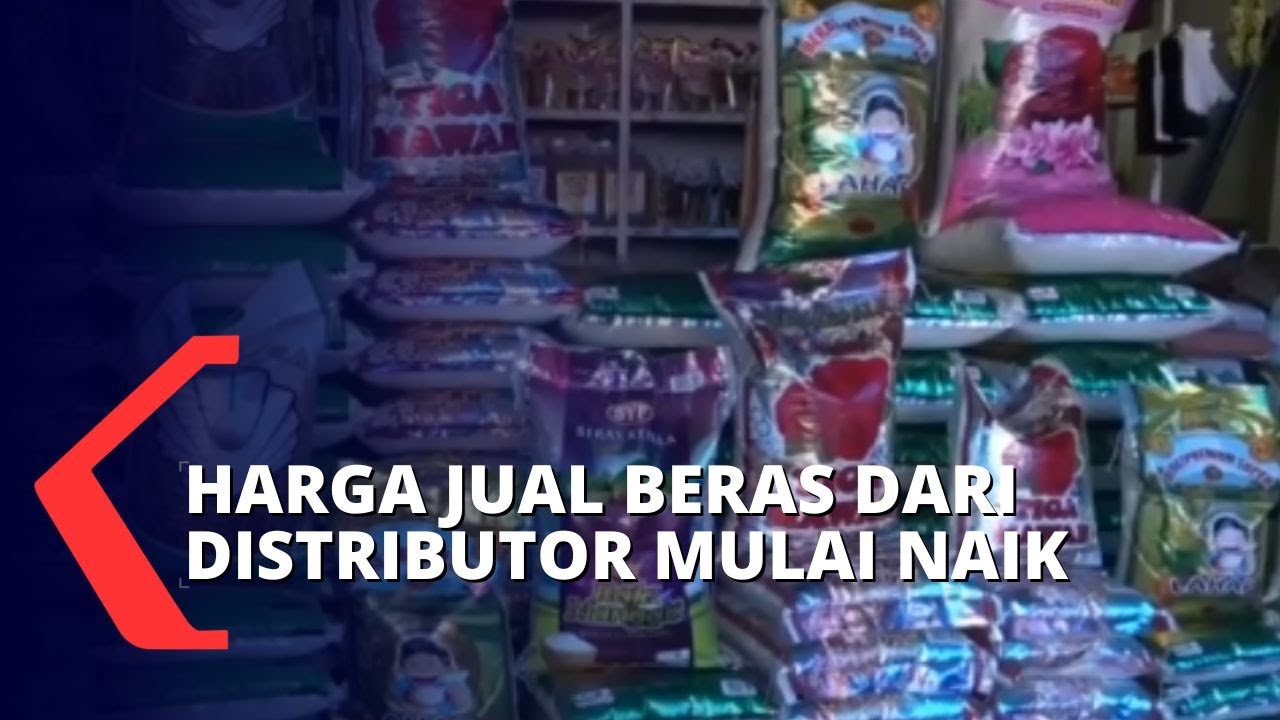 Harga Beras Naik Imbas Kenaikan Harga BBM, Pedagang Parah Keuntungan ...