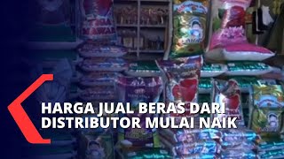 Harga Beras Naik Imbas Kenaikan Harga BBM, Pedagang Parah Keuntungan Terus Tergerus