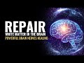 Repair White Matter In The Brain | Cognition Enhancer | Powerful Brain Nerves Healing Sound Therapy