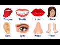 50+ Parts of body name | parts of body name with pictures | parts of the Body