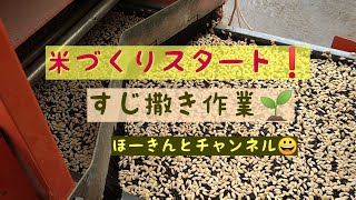 【コシヒカリすじ撒き】米づくりスタート😀