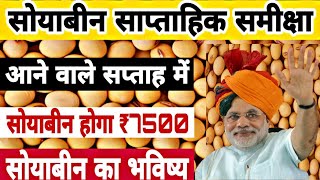 सोयाबीन साप्ताहिक समीक्षा | सोयाबीन का भविष्य | #Soyabean future rate, #Soyabin bhavishya #सोयाबीन