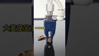 manipulator 誰說 機械手 都很粗暴的？能給蠶寶寶做按摩的 夾具 你見過嗎？智能制造