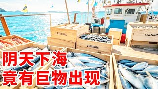 阿杰阴天下海排钩，本以为空手而归没想到突现巨物，这下直接回本！