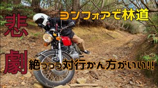 CB400four(ヨンフォア)でモトブログ　巻ノ19　Dトラッカーとヨンフォアで林道行ったらえぐい事になった！！