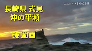 【磯釣り 動画】長崎 式見 沖の平瀬  磯 動画【グレ チヌ 釣り 水中動画】  Vol.44