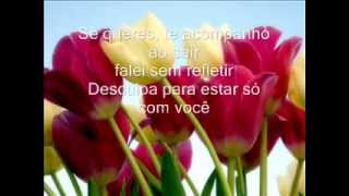 AGNALDO RAYOL - CHAMPAGNE.WMV