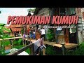 KAMPUNG KUMUH Di Studio alam Gamplong