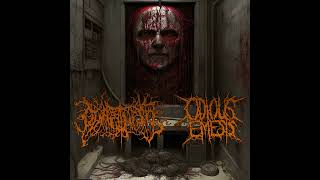 Goretopsy // Odious Emesis - Split (Full Split)