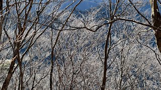 霧氷と少し雪で上天気の高見山へ(奈良県、たかすみ温泉より)2023 0122