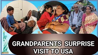 Grandparent's Surprise Visit to USA || నాన్నమ్మ, తాతయ్య II Tlife US  - USA Telugu Vlogs