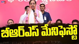 బీఆర్ఎస్ మేనిఫెస్టో  BRS Manifesto HIGHLIGHTS | CM KCR Releases BRS Manifesto | TV5 News