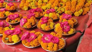 Alop Shankari Devi Shakti Peeth Temple ,Prayagraj , India.