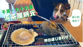 【ペット可浜焼き】九十九里にある浜茶屋綱元で海鮮を堪能してきた！　ペット可レストラン/千葉県九十九里【ジャックラッセルテリアのマシュー君】