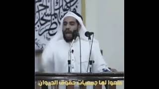 البهائم في أوروبا لـٍهآ حقوق // الشيخ محمود الحسنات مقطع مؤثر💔