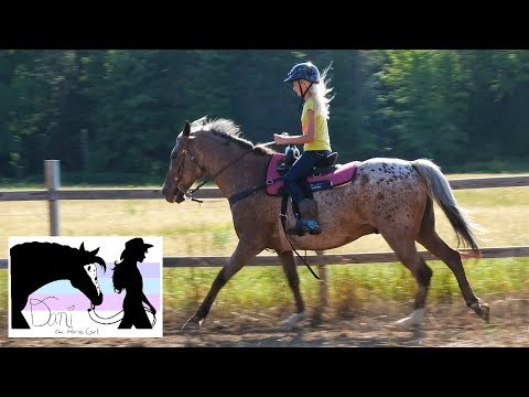 Horseback Riding Youtube