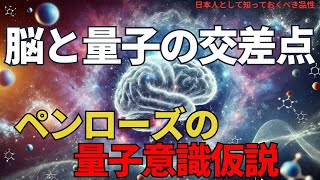 ペンローズの量子意識仮説：脳と量子の交差点(The Quantum Consciousness Hypothesis),#理論,304,#youtube #news #science