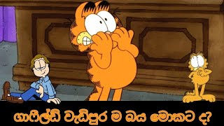 ගාෆීල්ඩ් වැඩිපුර ම බය මොකට ද?